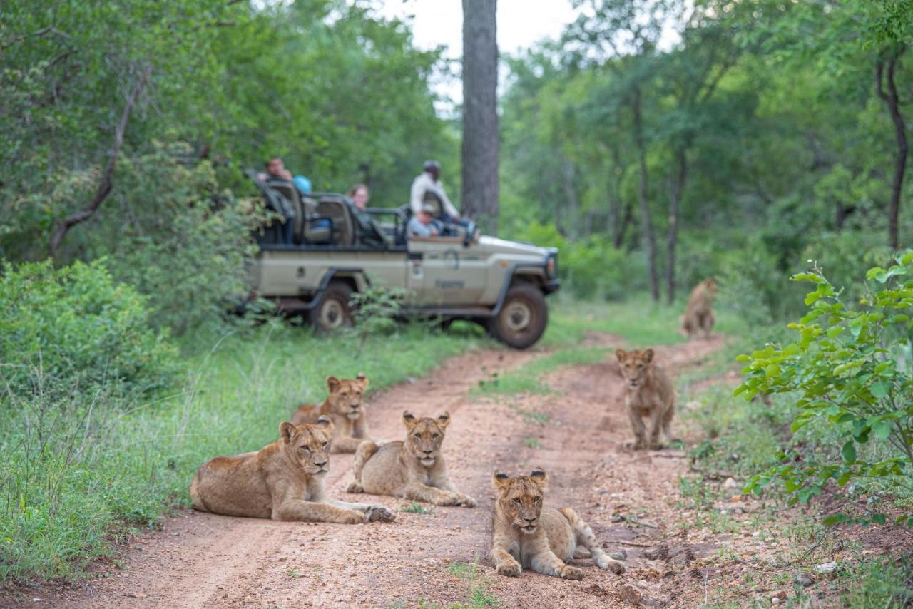 Kapama Karula Villa Kapama Game Reserve Ngoại thất bức ảnh