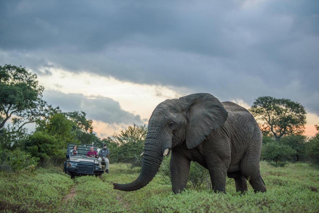 Kapama Karula Villa Kapama Game Reserve Ngoại thất bức ảnh