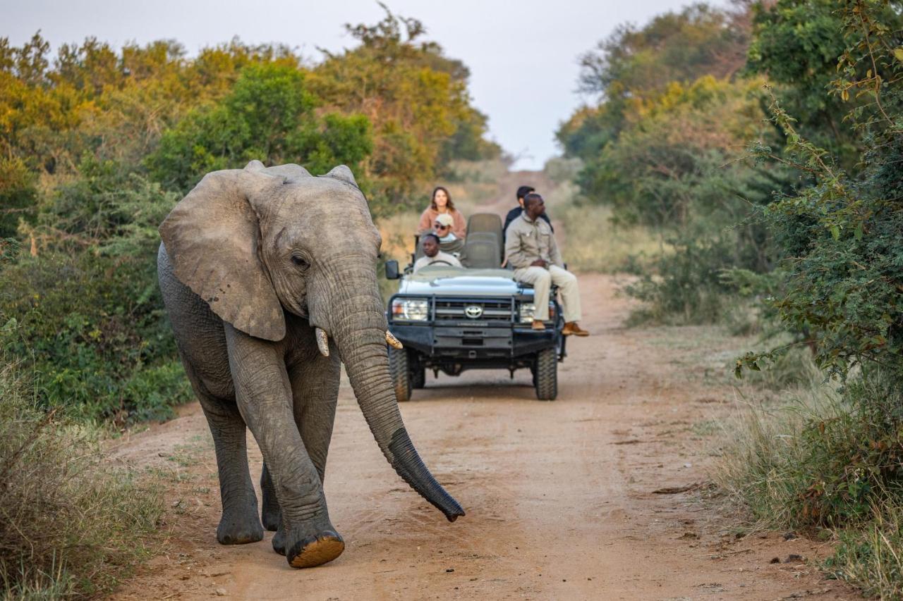 Kapama Karula Villa Kapama Game Reserve Ngoại thất bức ảnh
